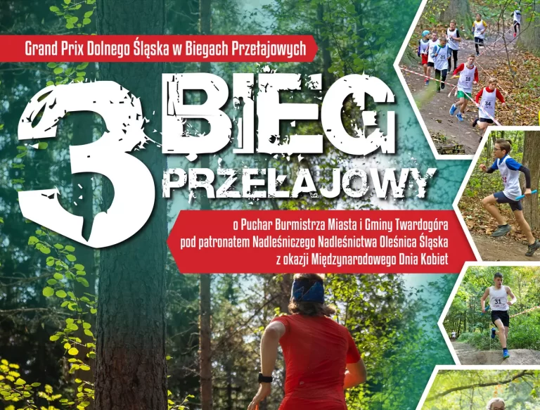 XXIX Międzynarodowy Bieg Uliczny o Puchar Przewodniczącego Rady Miejskiej w Twardogórze 2023